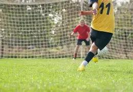 CNFA,中国家具行,业联合会,ebpay承兑,ebpay钱包,ebpay官网