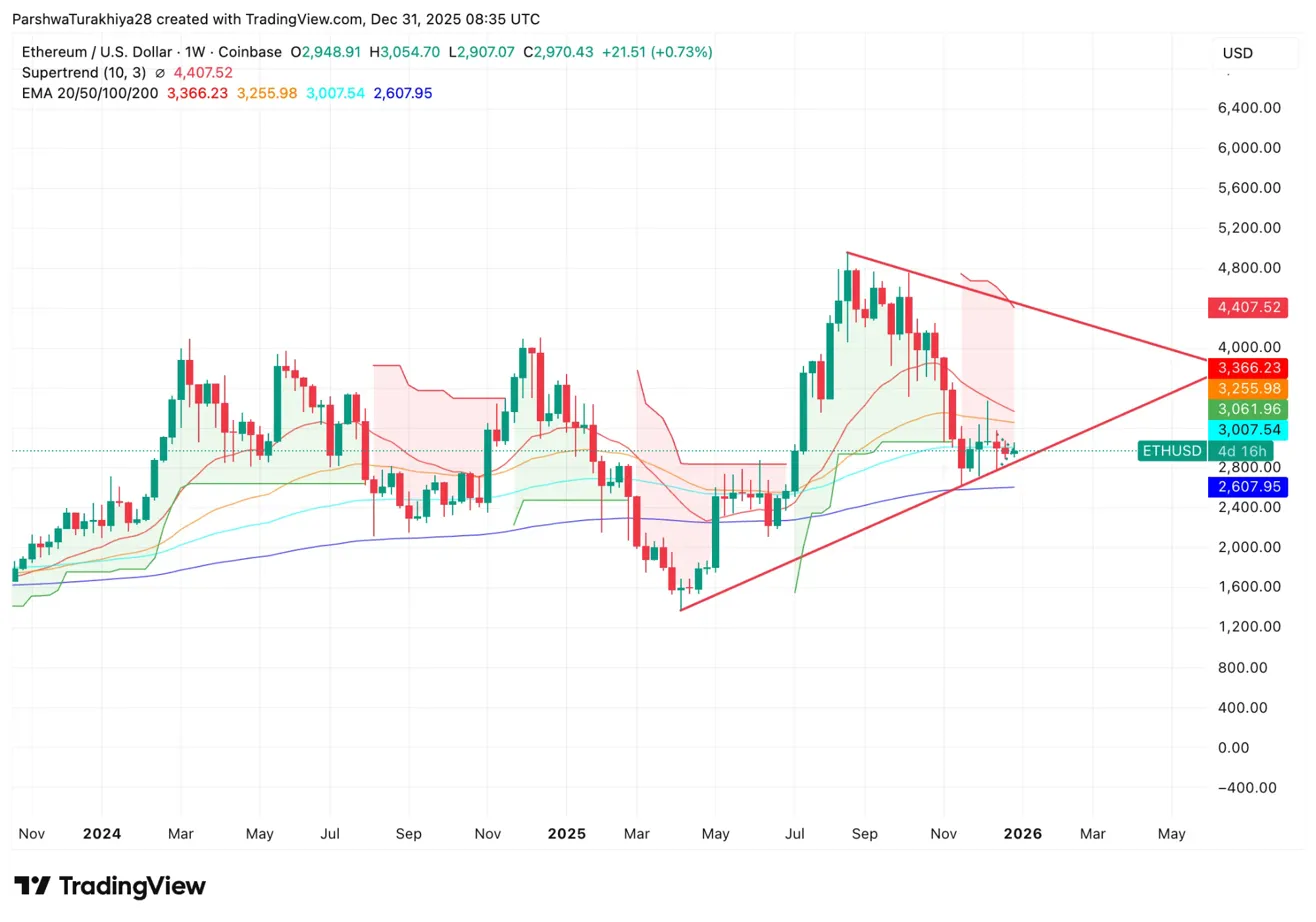 罗小猫子身,份揭秘,照片曝光及,ebpay承兑,ebpay钱包,ebpay官网