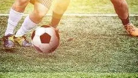 明星作品娱乐产业票房排行一览表