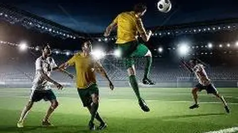 2024年中国体育界收入最高的运动员排行