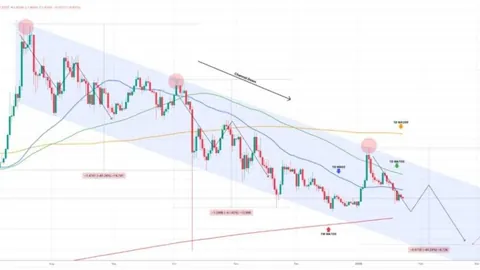 CBA最新伤员名单揭晓：林书豪、李根成功康复回归赛场
